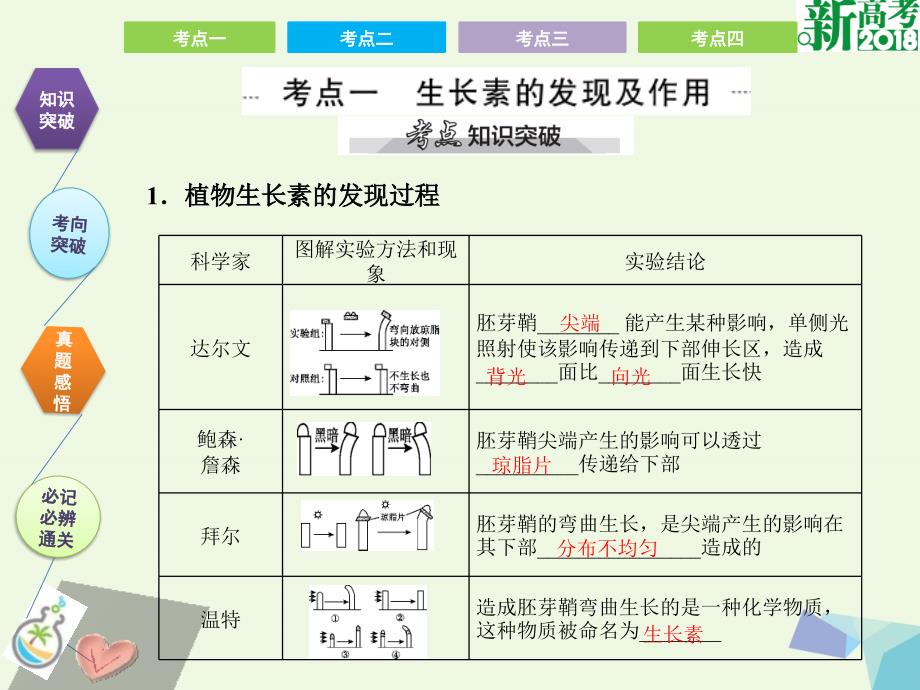 高考生物第九单元 植物的激素调节_第2页