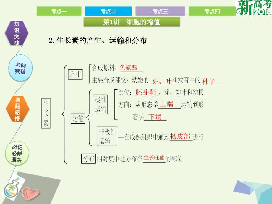 高考生物第九单元 植物的激素调节_第3页