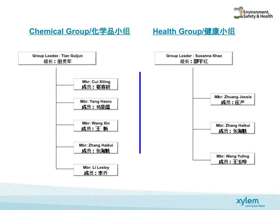 ESHManagementOrganization_第4页