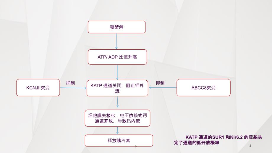 新生儿糖尿病ppt课件_第4页