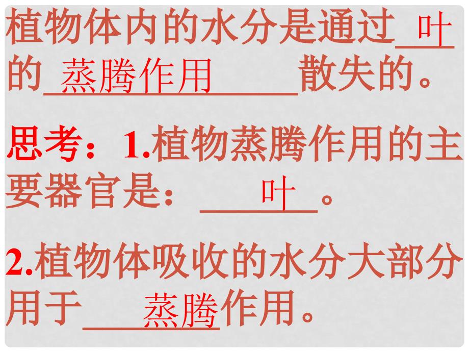 七年级生物上册 绿色植物参与生物圈的水循环1课件 人教新课标版_第2页