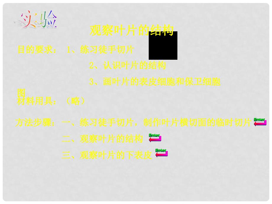 七年级生物上册 绿色植物参与生物圈的水循环1课件 人教新课标版_第3页