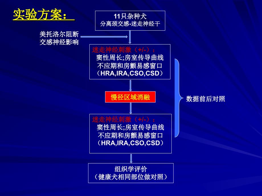 慢径区域消融对迷走神经功能的影响_第4页