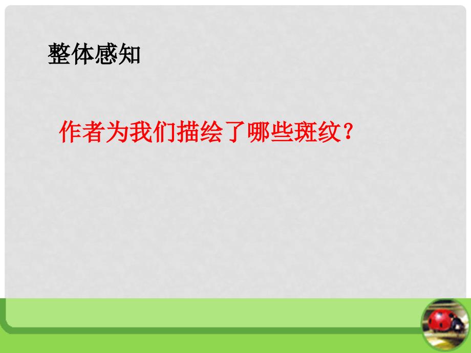 高中语文 第1专题《斑纹》课件 苏教版必修5_第4页