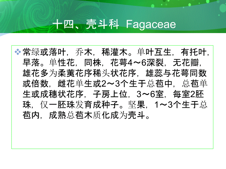 十四壳斗科Fagaceae_第1页