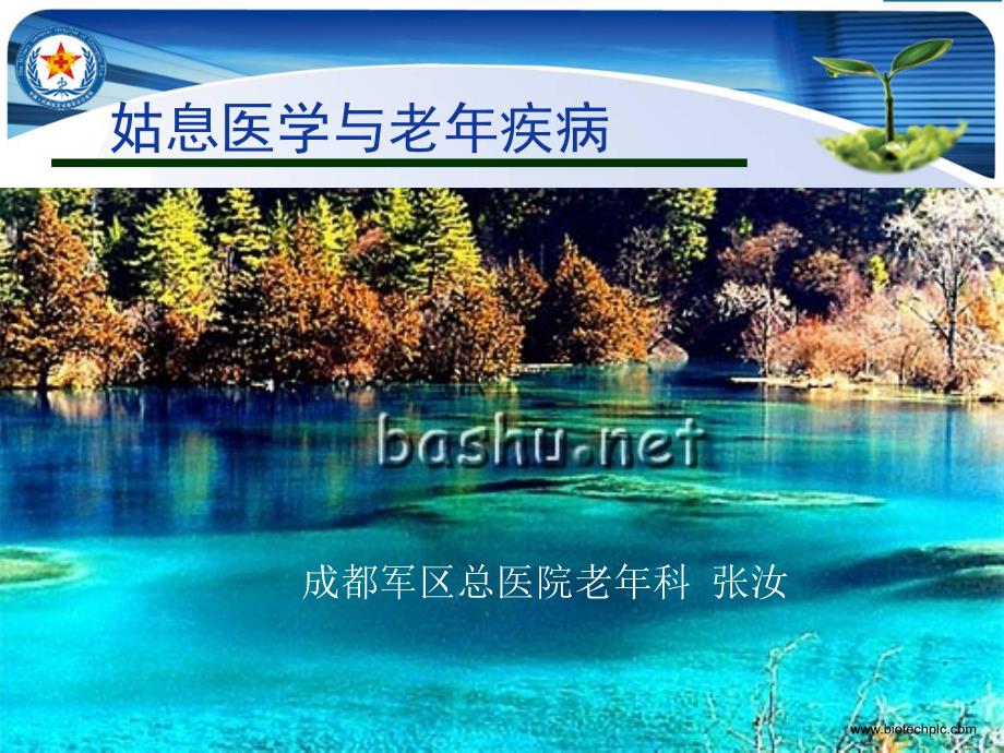 姑息医学与老年疾2_第1页