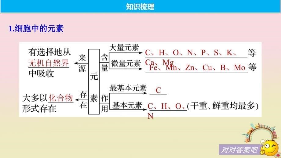 高考生物一轮复习第一单元细胞的化学组成第1讲细胞中的元素和无机化合物备考一体课件苏教版名师制作优质学案新_第5页