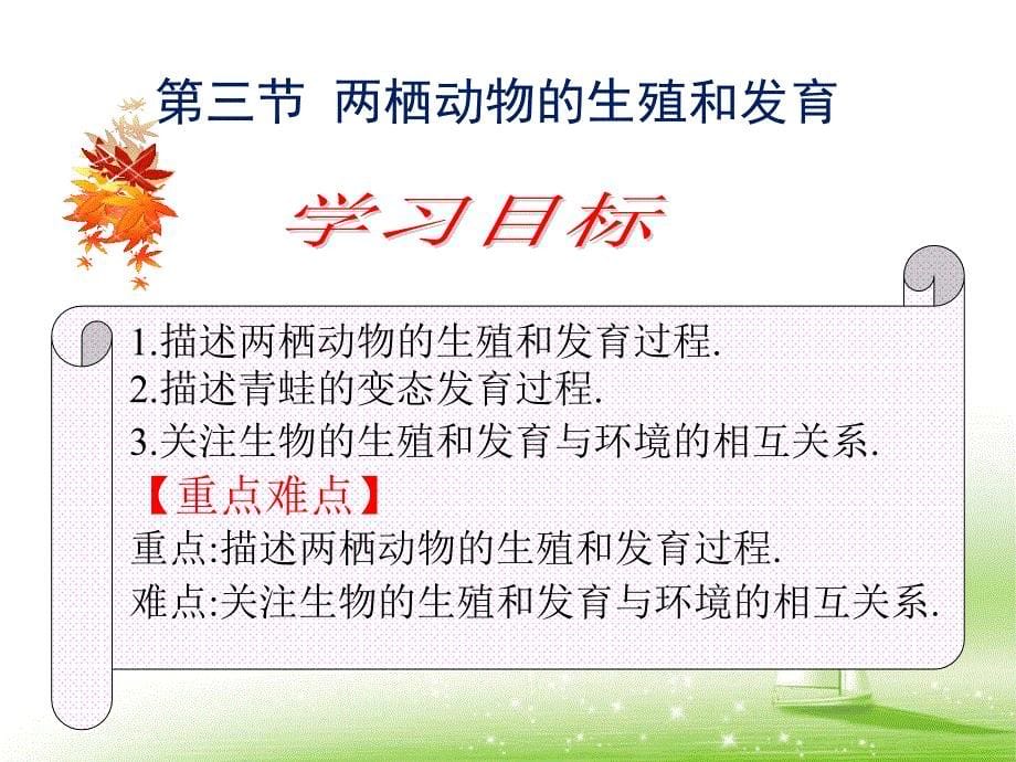 12优质课两栖动物的生殖和发育课件_第5页