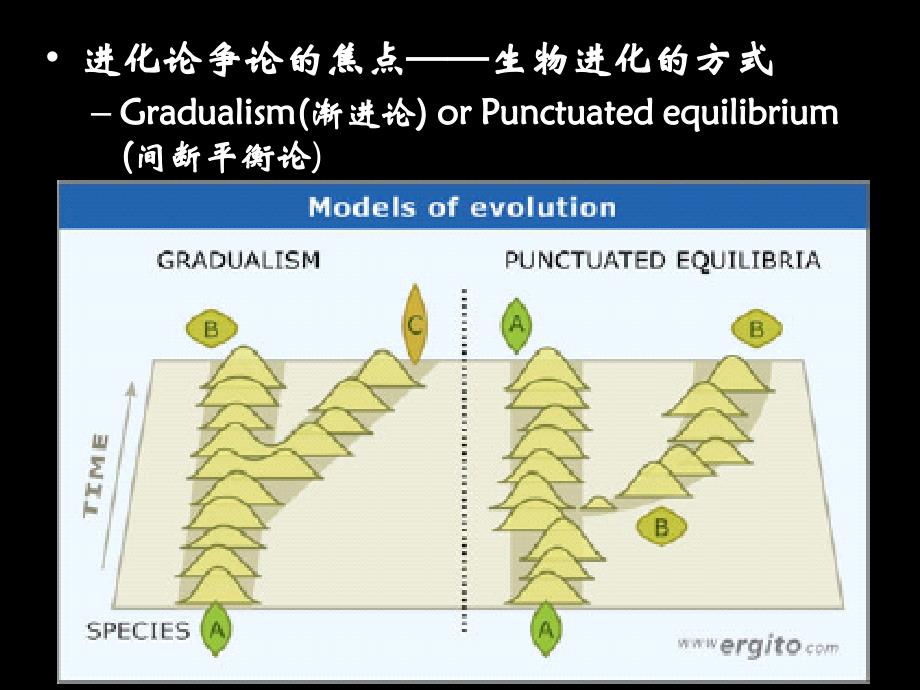 生物多样性及其分类_第3页