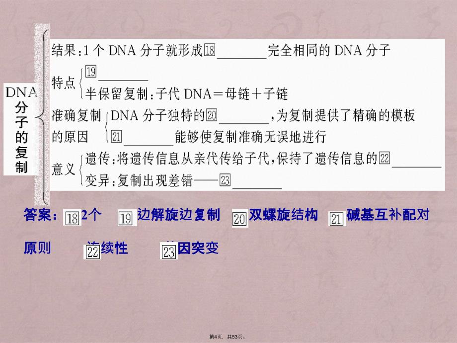 第234节DNA分子结构复制基因是有遗传效应DNA片段一轮复习_第4页