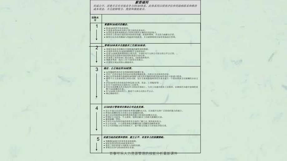 百事可乐人力资源管理的技能分析最新课件_第2页