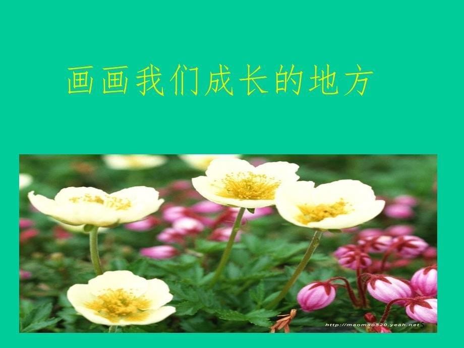 画画我们的教室.ppt_第5页