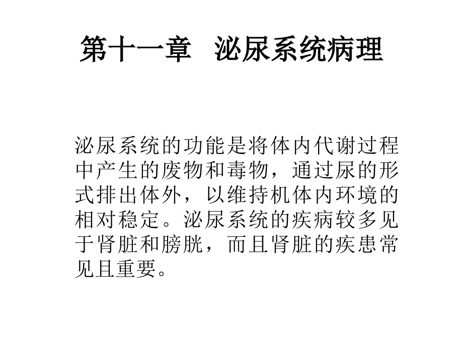 泌尿系统病理PPT课件_第1页