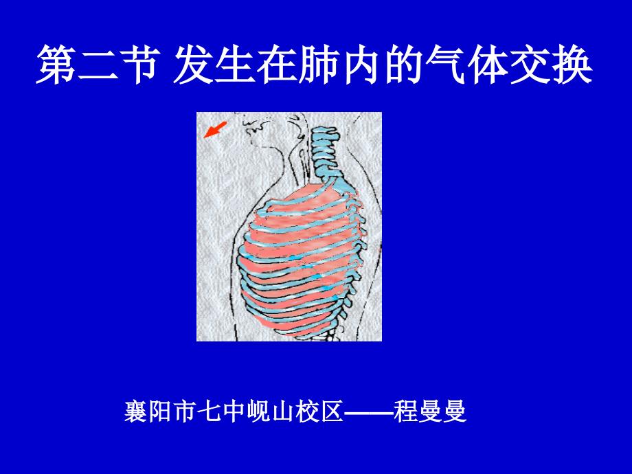 生物课件：肺内气体交换_第1页