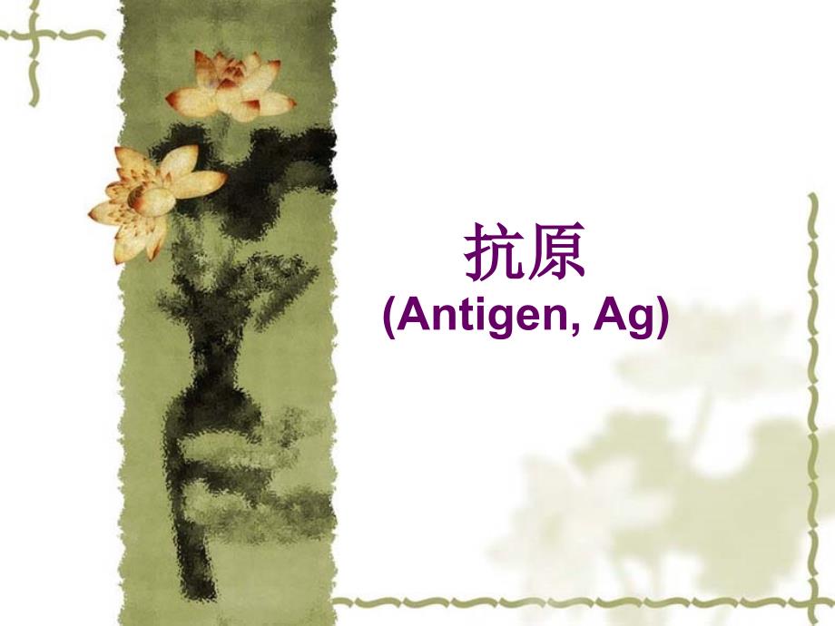 抗原AntigenAg精品PPT课件_第1页