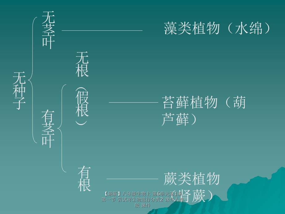 最新八年级生物上第6单元第1章第一节尝试对生物进行分类2课件人教版课件_第4页