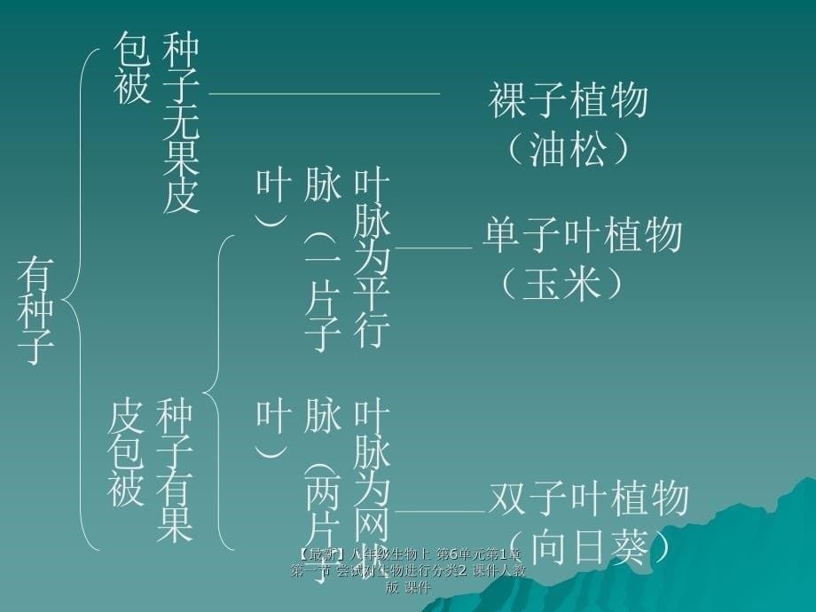 最新八年级生物上第6单元第1章第一节尝试对生物进行分类2课件人教版课件_第5页