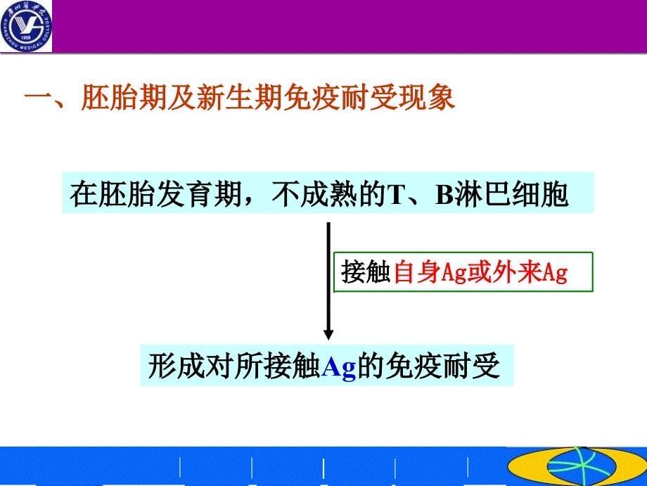 免疫耐受-医学知识讲座优质PPT课件_第5页