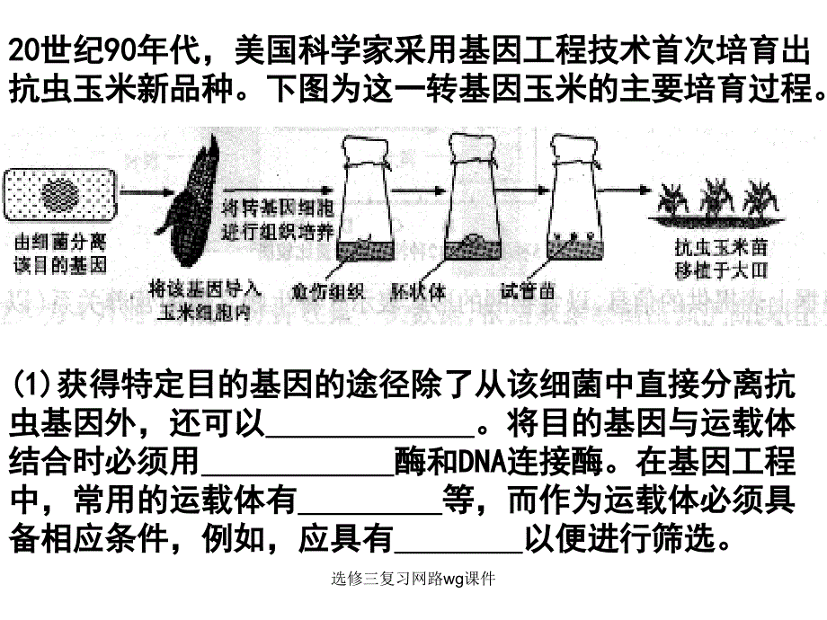 选修三复习网路wg课件_第2页