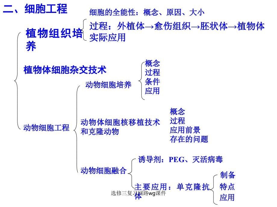 选修三复习网路wg课件_第5页