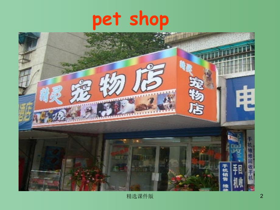 三年级英语上册Unit4pets课件3人教新起点_第2页