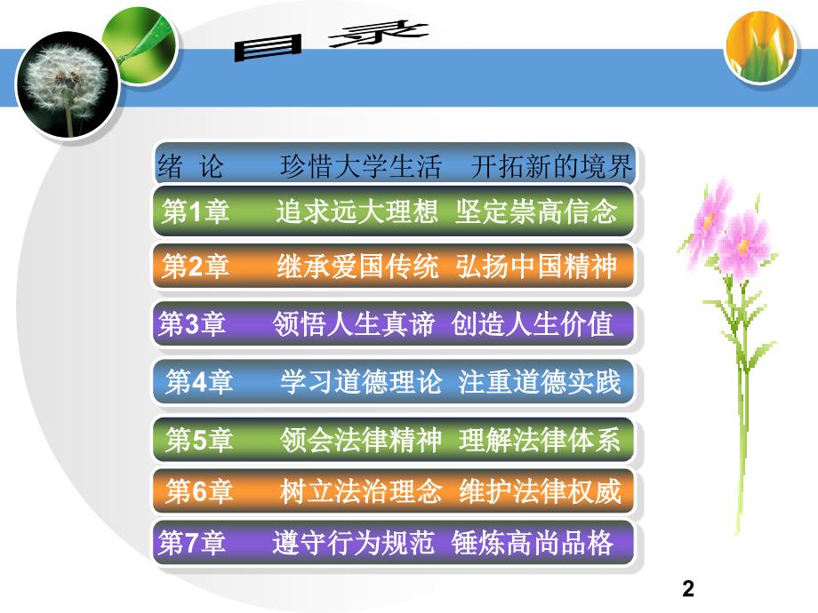 学习道德理论注重道德实践思想道德修养与法律础最新案例_第2页