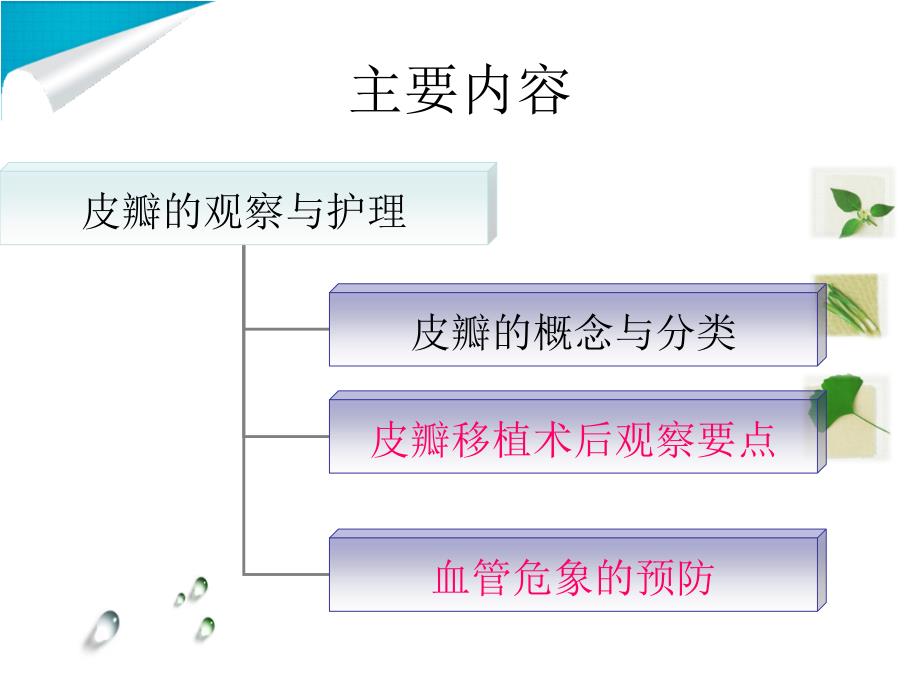 皮瓣的观察与护理_第2页