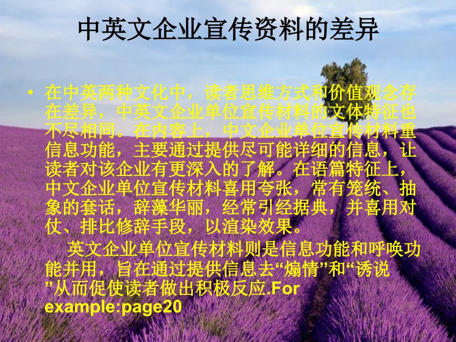 翻译课用的企业简介.ppt_第2页