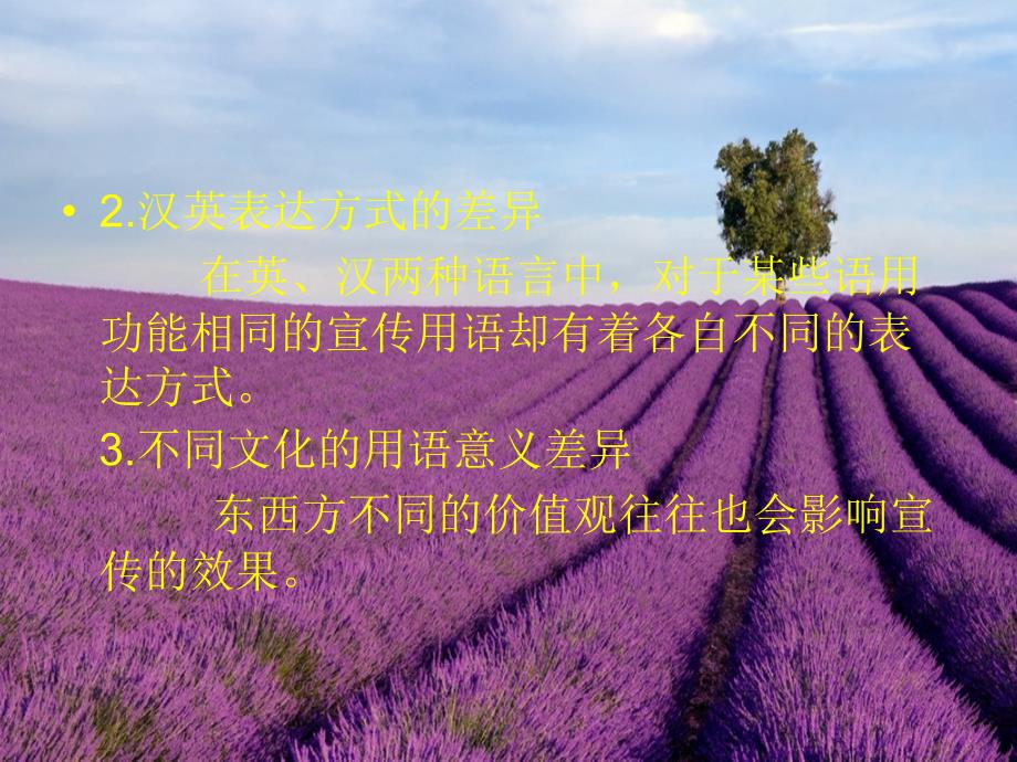 翻译课用的企业简介.ppt_第4页