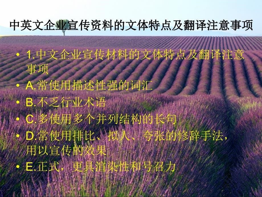 翻译课用的企业简介.ppt_第5页