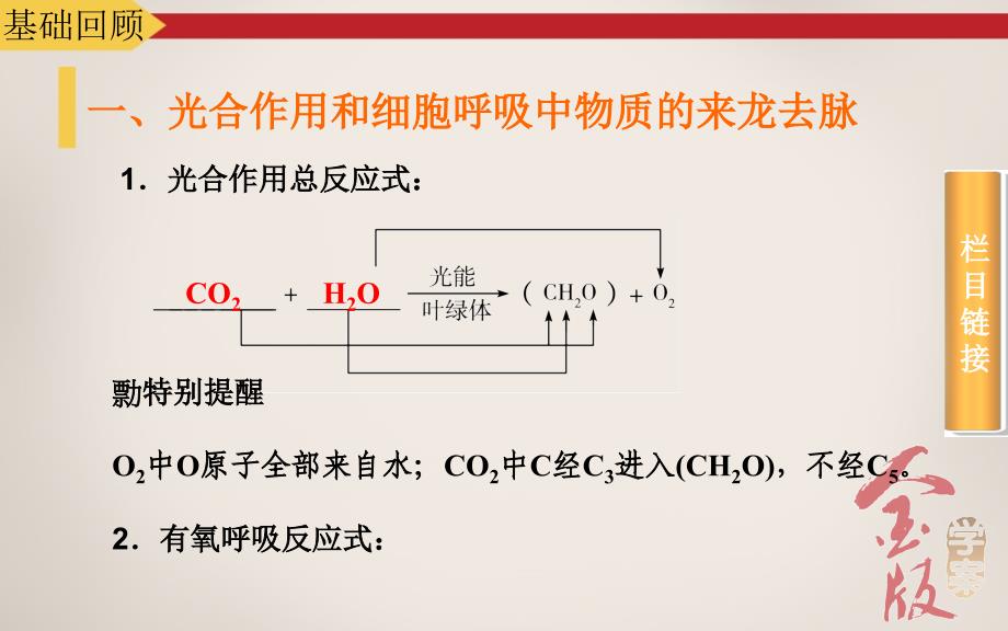 案12光合作用和细胞呼吸的综合.ppt_第4页