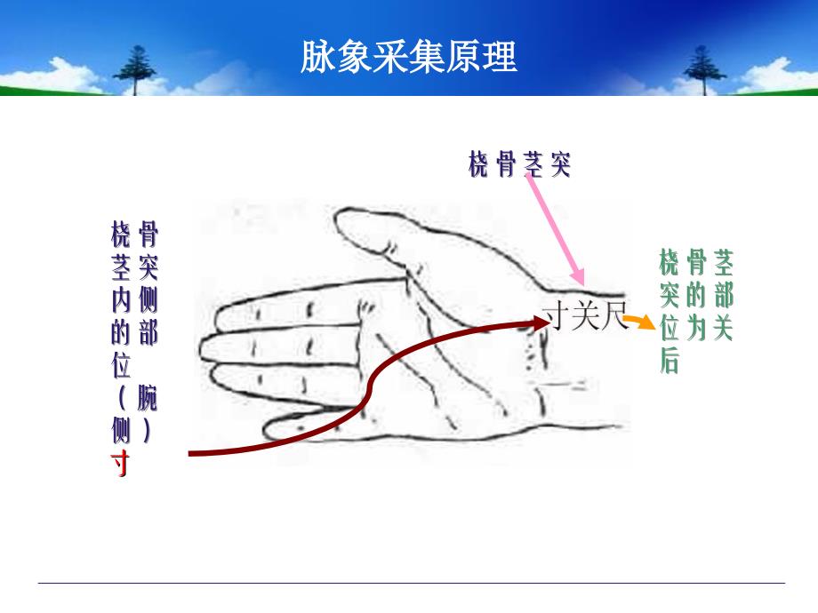 中医综合诊断系统简介_第3页