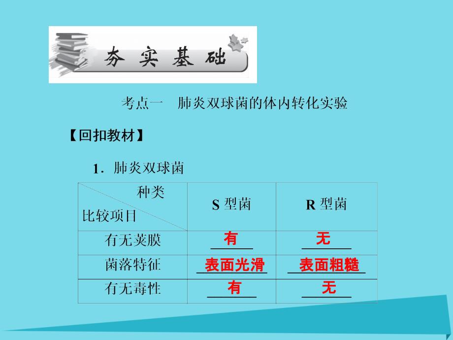 高考高考生物一轮复习 第三章 基因的本质（第二十课时）第1节 DNA是主要的遗传物质课件 新人教必修2_第4页