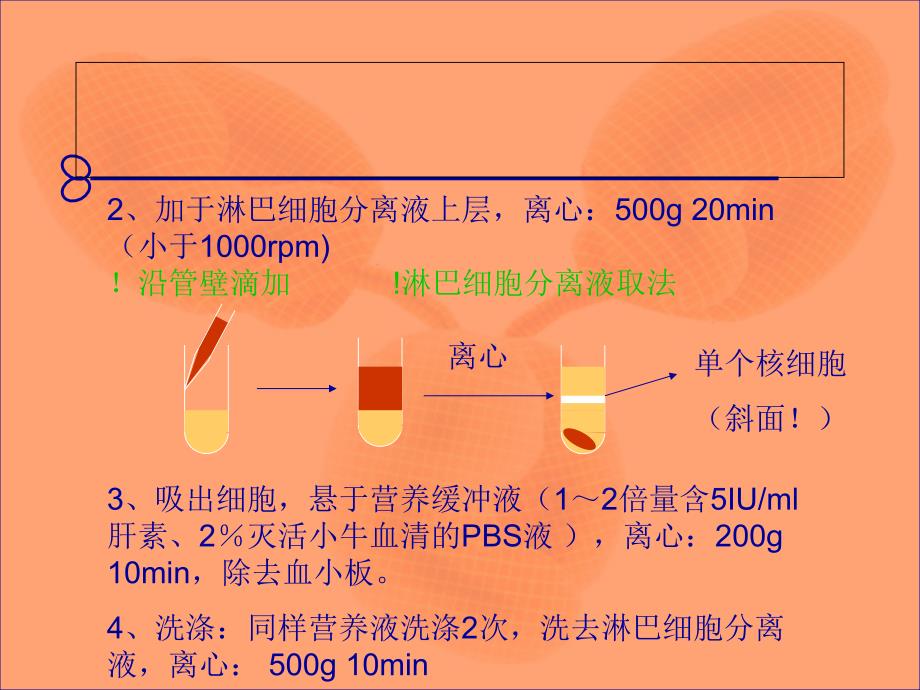 免实验 免疫学及免疫检测技术试验_第3页