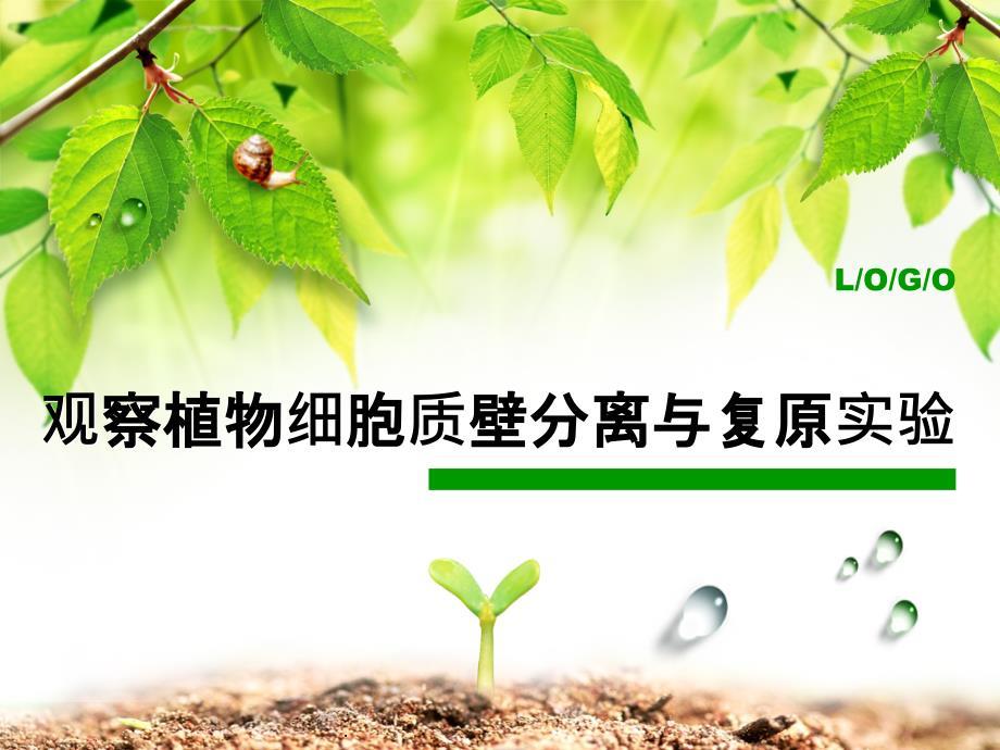 观察植物细胞质壁分离与复原实验PPT课件