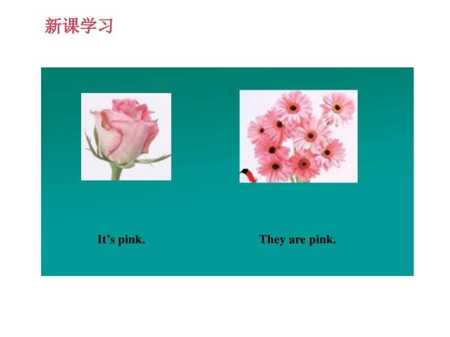 一年级上册英语课件Lesson23PinkPurple冀教版_第5页