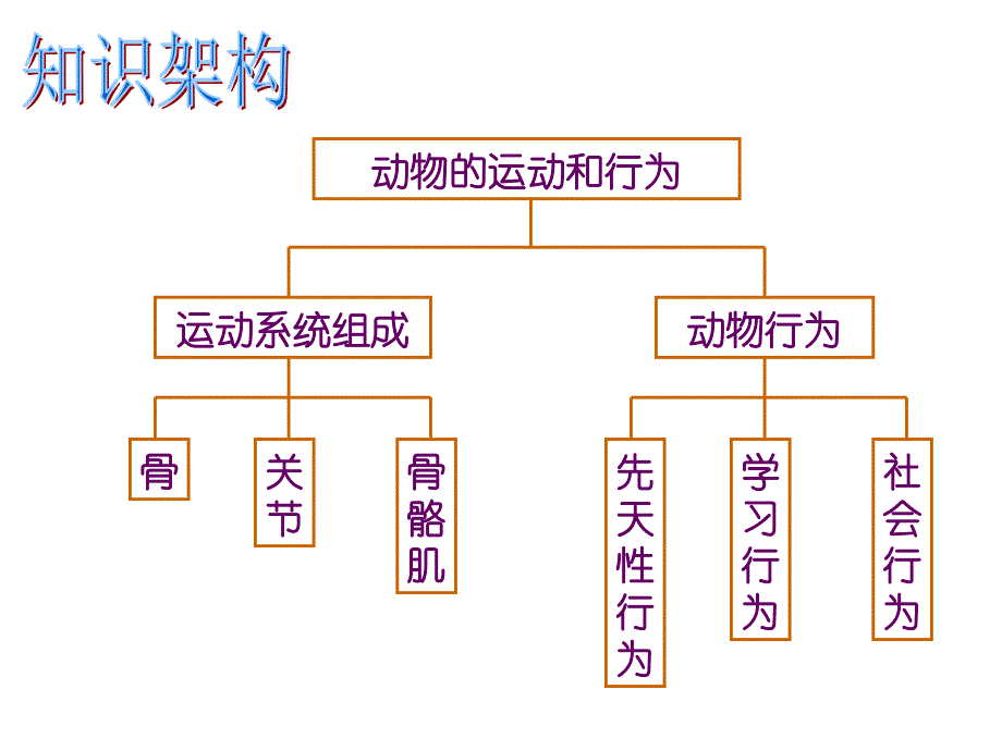 52复习动物的运动和行为_第3页