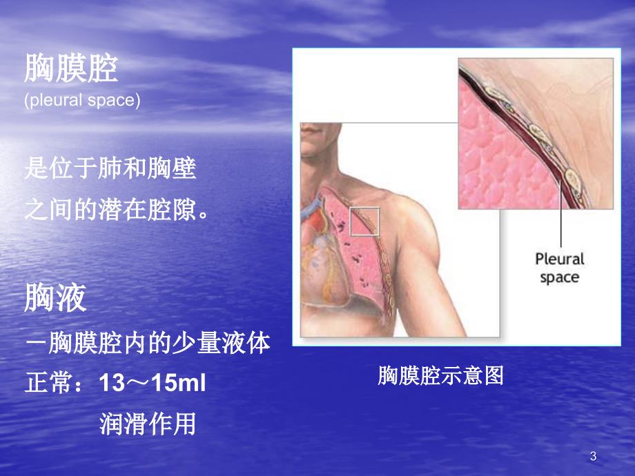 胸腔积液PPT演示课件_第3页