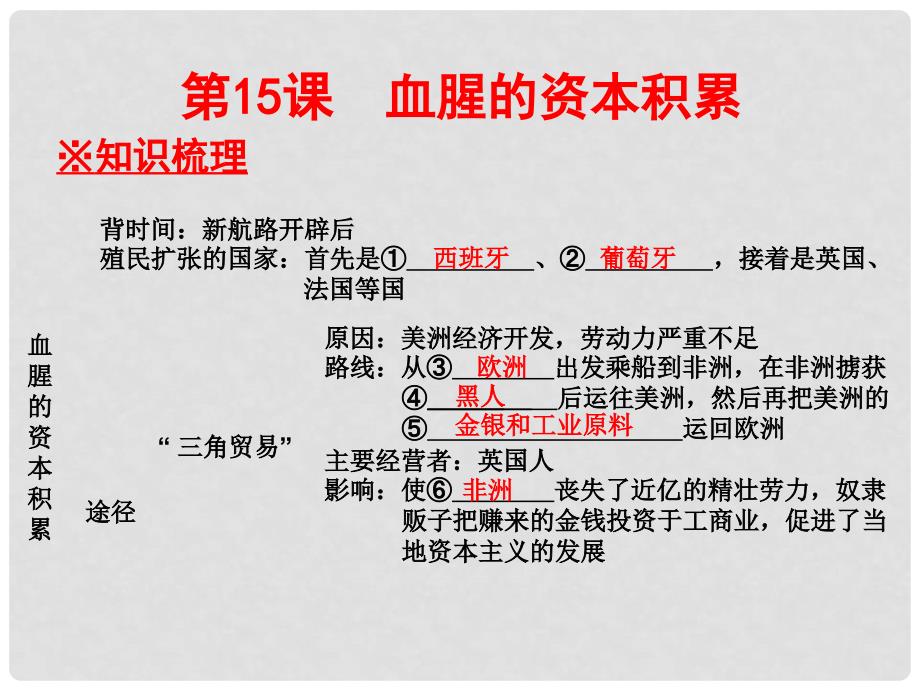 广东学导练九年级历史上册 第15课 殖民扩张与殖民地 人民的抗争课件 新人教版_第2页