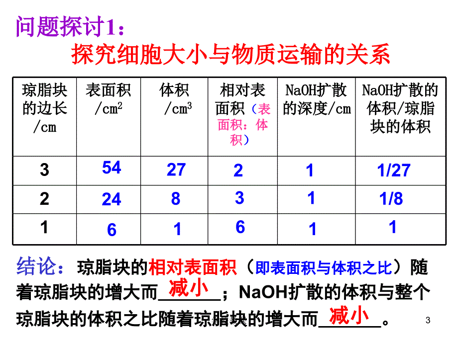 细胞增殖【课堂教学】_第3页