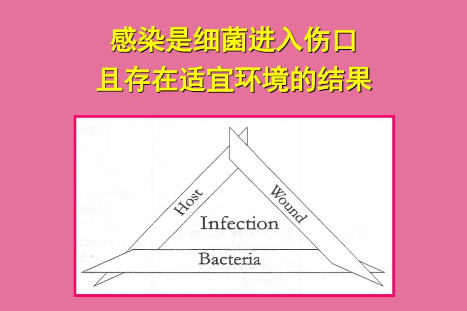 骨与关节感染邱贵兴教学幻灯ppt课件_第4页