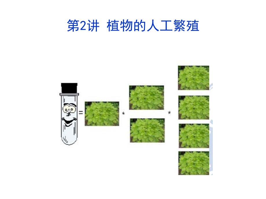 《植物的人工繁殖》PPT课件.ppt_第1页