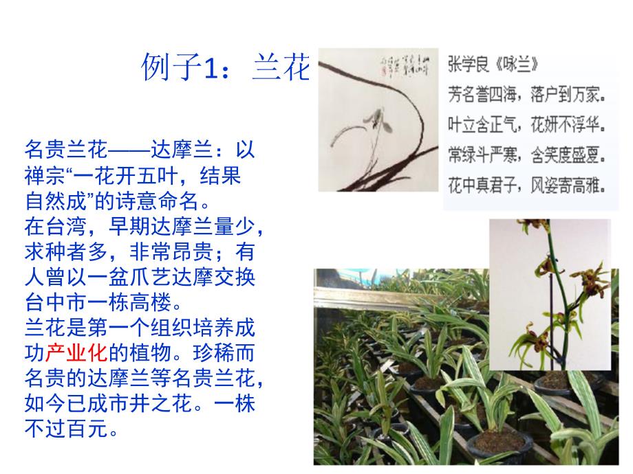 《植物的人工繁殖》PPT课件.ppt_第3页