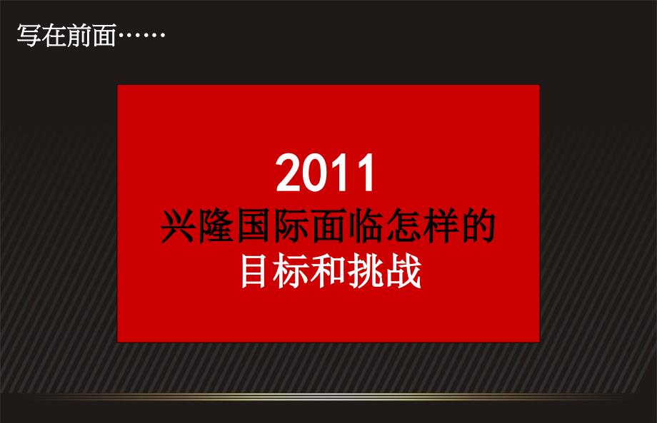 兴隆国际营销策略案162P_第2页