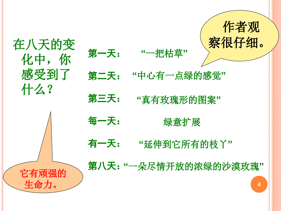 沙漠玫瑰ppt课件_第4页