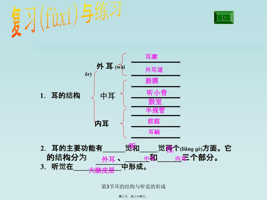 第3节耳的结构与听觉的形成课件_第2页