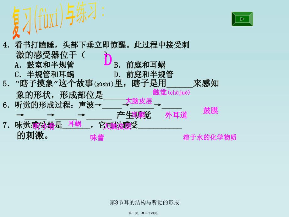 第3节耳的结构与听觉的形成课件_第3页