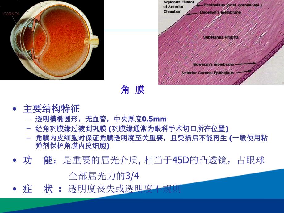 眼科超乳玻切手术基础知识_第4页