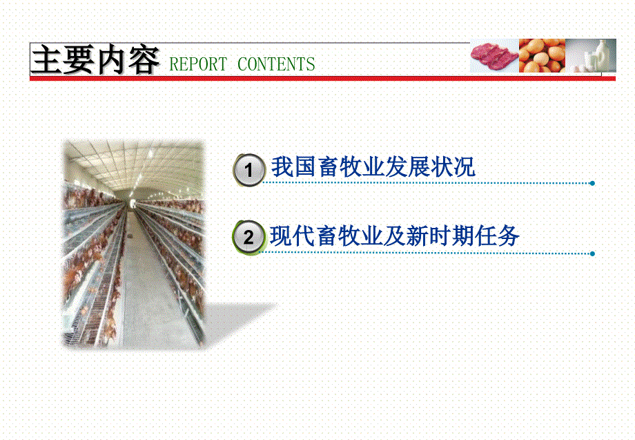 我国现代畜牧业发展PPT课件_第2页