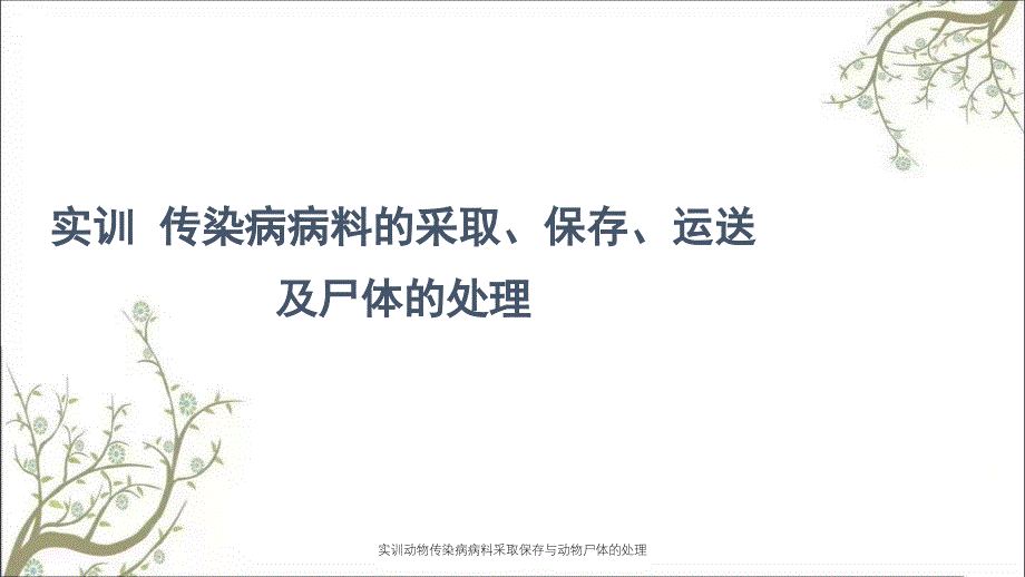 实训动物传染病病料采取保存与动物尸体的处理_第1页